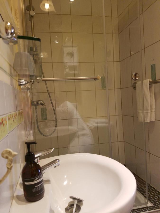 Cattenom シャンブレ ドーテ ル クロス ドゥ ヴェルジェ Bed & Breakfast エクステリア 写真